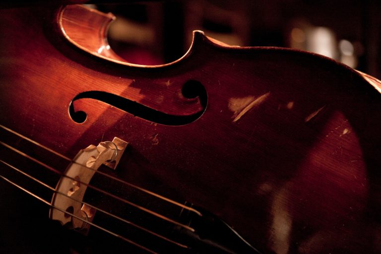 Double bass on the stage at jazz concert